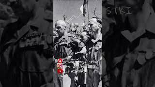 Monte Cassino 5 shortvideo shortsvideo shortsviral shorts short shots shortvideos history [upl. by Yrrol]