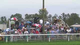 Aiken Steeplechase Draws Crowd Despite Cloudy Weather [upl. by Ahsinrad777]