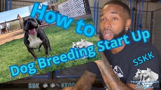 How to start dog breeding and what to expect [upl. by Htiderem]