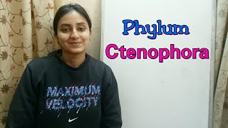 Phylum Ctenophora  Biological classification part 13  Class XI  Lecture 41 [upl. by Shelagh]