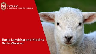 Basic Lambing and Kidding Skills [upl. by Laicram]