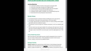 Medical Biology Nuclear gene and Extragenic DNA  طب المستنصرية [upl. by Gerg]