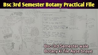 Bsc 2nd Year 3rd Semester Botany Practical File  Botany ki Practical File Ayse Bnaye Bsc Wale 📂 [upl. by Arleyne]