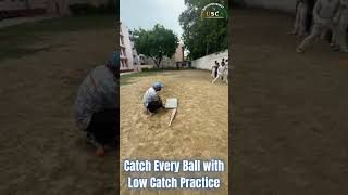 Catch Every Ball with Low Catch Practice Level up your cricket fielding nowUSCASPORTS [upl. by Dorcia944]