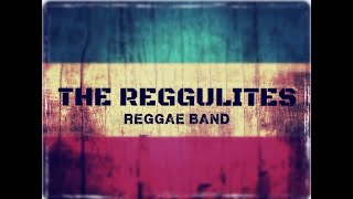 The Reggulites 2025 Showreel [upl. by Cloots]