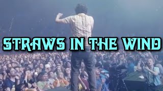 STRAWS IN THE WIND Live In New York 2024  King Gizzard amp The Lizard Wizard 4K [upl. by Molli]