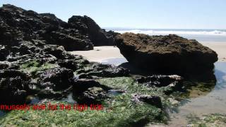 Walk along the beach from Chapel Porth to Porthtowan in Cornwall [upl. by Palua]