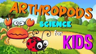 Arthropods  Science for Kids [upl. by Irene]