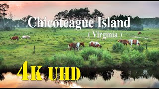 Chincoteague Island  Virginia [upl. by Nylsaj]