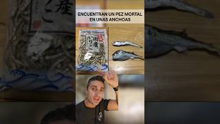 Un pez mortal en unas anchoascuriosidades supervivencia sabiasque [upl. by Esereht]