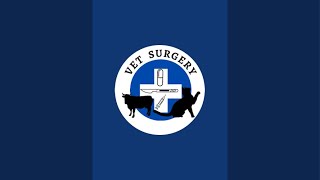 Vet Surgery is live [upl. by Monica]