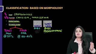 Mycology Microbiology Rapid Revision For FMGE amp NEET PG By Dr Preeti Sharma [upl. by Scarlett505]