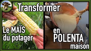 Faire de la POLENTA maison avec le maïs du potager 🌽 ｜ Transformation étape par étape 👨‍🍳 [upl. by Anwahsal939]