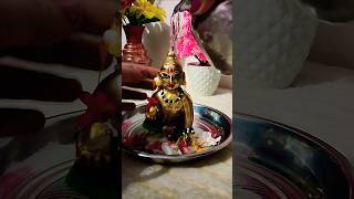 Laddu gopal sanan short radhakrishna [upl. by Rednas]