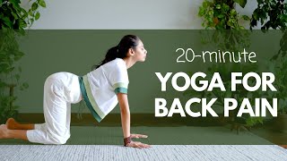 20 Minute Yoga for BACK PAIN  पीट दर्द के लिए योग satvicyoga [upl. by Naneek268]