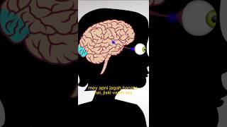 How Clutter affects your brain viralvideo trending shorts informative mentalhealth anxiety [upl. by Eikram]