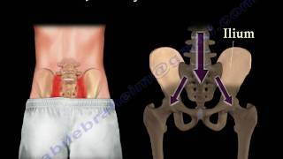 Sacroiliac Joint Dysfunction Animation  Everything You Need To Know  Dr Nabil Ebraheim MD [upl. by Bultman]