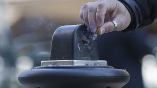 OMS  lenvironnement et la santé au cœur de la lutte antitabac [upl. by Conard842]