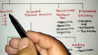 BLACTUM ANTIBIOTICS WITH TRICKS 1PENICILLIN  RRB PHARMACIST EXAM  GPAT  ESIC  PART 45 [upl. by Atikihs]