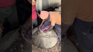 Indian traditional rose perfume production shorts [upl. by Endys165]