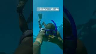 تعليمسباحهببساطه سباحهببساطه انقاذببساطه تعليمسباحهمبتدئين swimtechnique swimskills swi [upl. by Yrtua536]