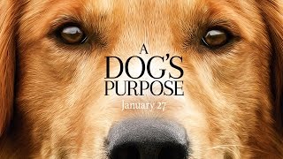 Top 10 Dog Movies [upl. by Perceval]