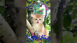 Alifun baa Arabic song  Cute cat naat🌹 [upl. by Stickney]