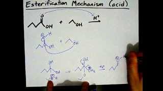 How to Make Esters Mechanism [upl. by Haelhsa]