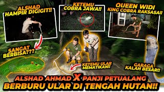 MENCARI ULAR BERSAMA PANJI PETUALANG DI HUTAN  MALAH MELIHAT SESUATU YANG MISTERIUS [upl. by Nelly]