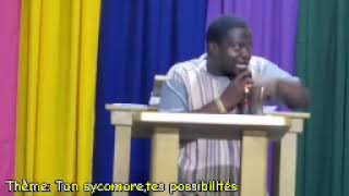 ton sycomore tes possibilités King Pastor [upl. by Leamse]