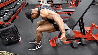 How To Seated Dumbbell Reverse Fly [upl. by Andrien]