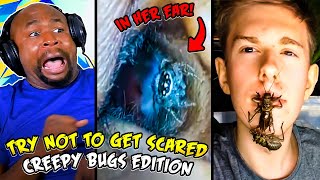 Try Not To Get Scared  Creepy Bugs Edition [upl. by Gorga996]