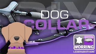 DIY BioThane Collar 🐕 [upl. by Edmead]