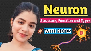 Neuron  Structure Function and Types of Neuron  Biology Important Topic [upl. by Ayomat]