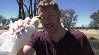 TEMORA Roundabout Bakery The Food Dude with Alo Baker [upl. by Merrick380]