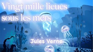 Vingt mille lieues sous les mers Partie 1 Chapitre 22 [upl. by Sixel928]