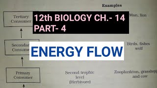 Class 12 biology chapter 14Part 4Energy FlowStudy with Farru [upl. by Tihor]