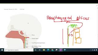 retropharyngeal space and abscess  ENT [upl. by Porush]