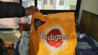 Pedigree 10 kg unboxing  Pomeranians eating Pedigree  Pedigree meat and rice [upl. by Ayikaz]