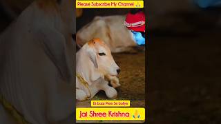 Jai Shree Krishna 🙏krishana viralvideo hindugods shortvideo sgorts harekrishna krishnabhajan [upl. by Nisa]