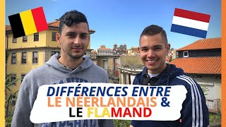 Quelles sont les différences entre le flamand et le néerlandais des PaysBas  Le flamand  🇳🇱🇧🇪 [upl. by Arliene188]