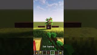 Minecraft 120 Bedrock and Java edition TikTok HacksThat Actually Work shorts subscribe [upl. by Atiuqa]