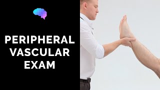 Peripheral Vascular Examination  OSCE Guide Latest  UKMLA  CPSA [upl. by Ianteen]