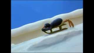 Pingu Tobogganing Pingu Official Channel [upl. by Disharoon]