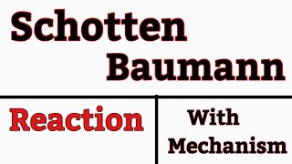 Schotten Baumann Reaction with Mechanism in Hindi [upl. by Lirbaj]