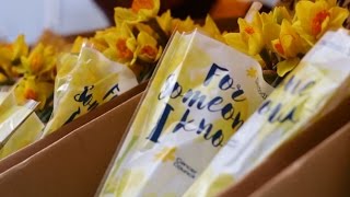 Daffodil Day Thank You [upl. by Hsizan]