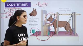 Pavlovs Classical Conditioning Theoryबाल विकास।। Explained by himanshi singh [upl. by Cash]