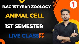 bsc 1st year zoology chapter 1  discovery of cell and cell theory bsc 1st year  zoology class 1 [upl. by Mosby]