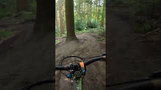 MTB💥watch out for the tree mtb bike mtblife mtbbike mtblifestyle mtblife downhill enduro [upl. by Nevyar]