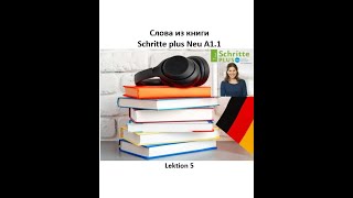 Слова из книги Schritte plus Neu A11 Lektion 5  словарный запас немецкого по лекциям [upl. by Zsolway411]